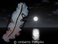 In the night by Umberto Pompilio 
